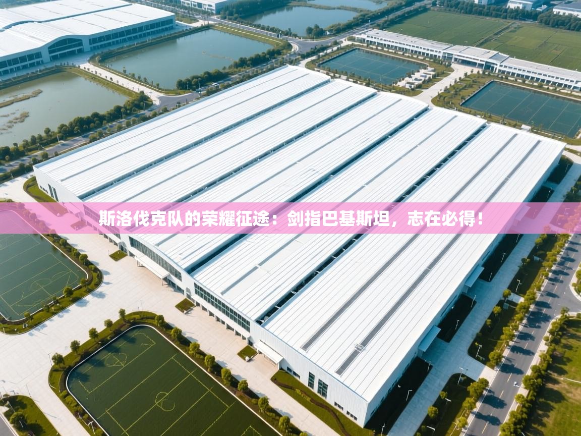 斯洛伐克队的荣耀征途：剑指巴基斯坦，志在必得！  第1张